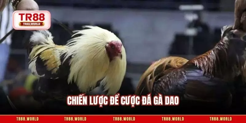 Chiến lược để cược đá gà dao